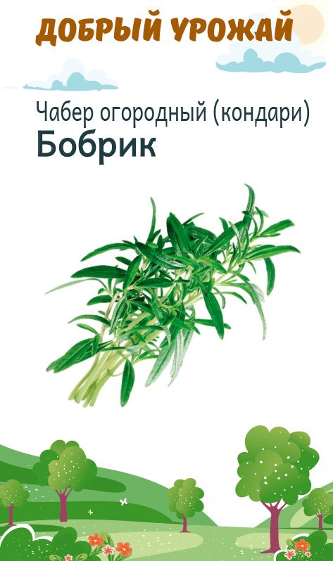 Чабер огородный Бобрик