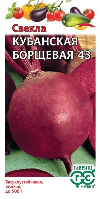 

свекла кубанская борщевая 43 семена, свекла кубанская борщевая 43 семена купить
