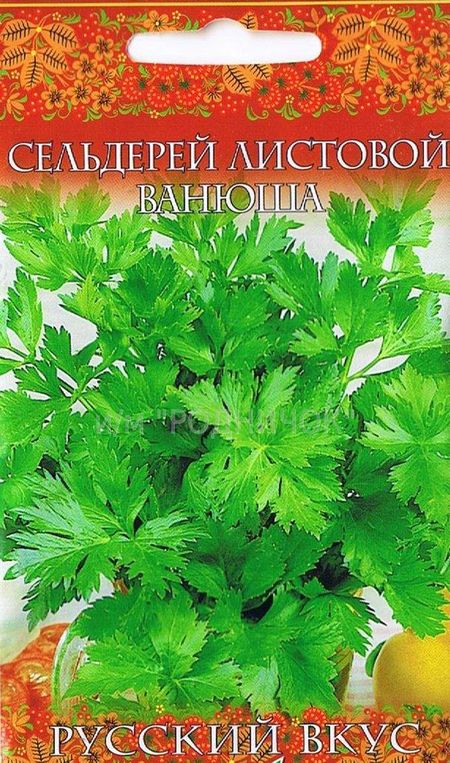 Сельдерей листовой Ванюша серия Русский вкус!