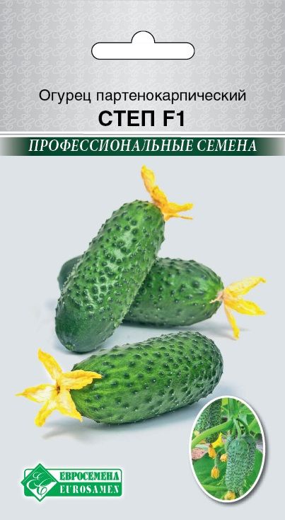 Огурец Степ F1