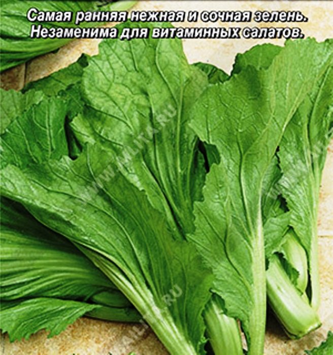 Горчица салатная Частушка ®