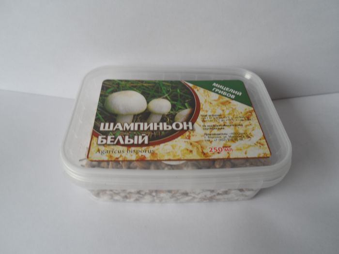 Шампиньон белый, 250 мл