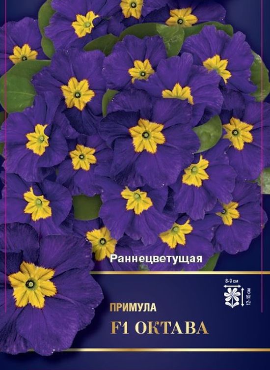 Примула Октава F1