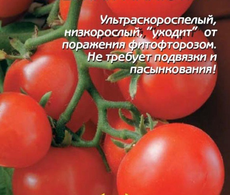 Томат Северная малютка