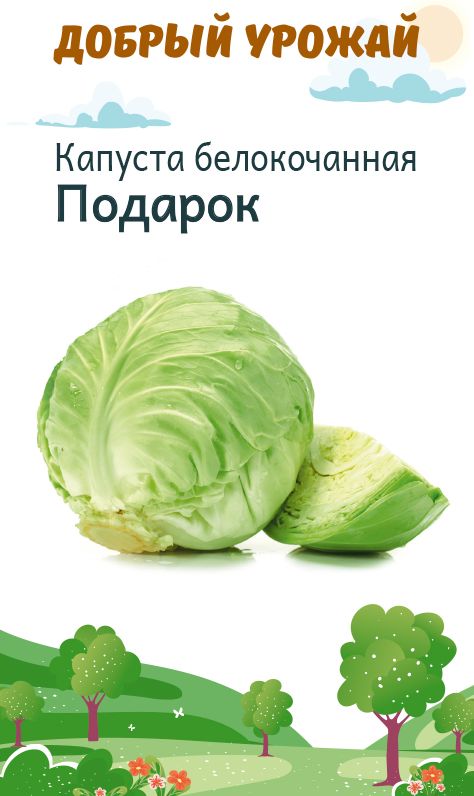 Капуста б/к Подарок