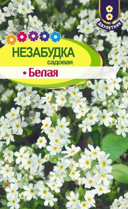 Незабудка Белая садовая