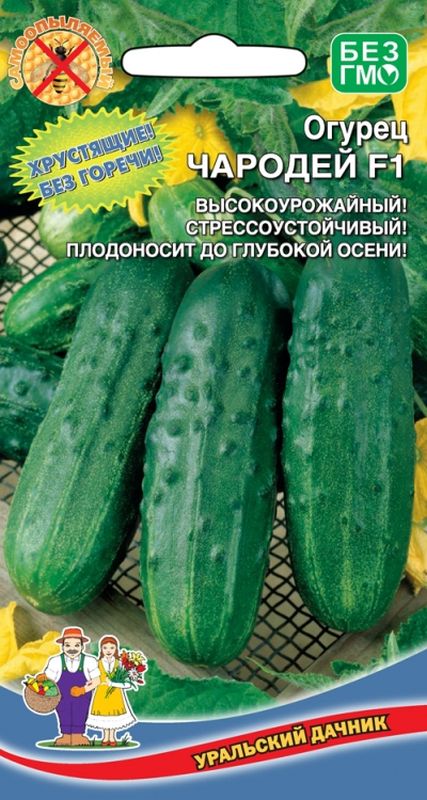 

огурец чародей f1 семена, огурец чародей f1 семена купить