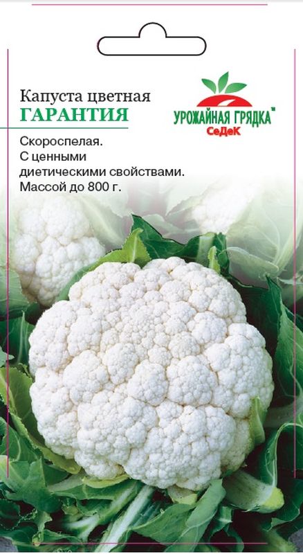 

капуста цветная гарантия семена, капуста цветная гарантия семена купить