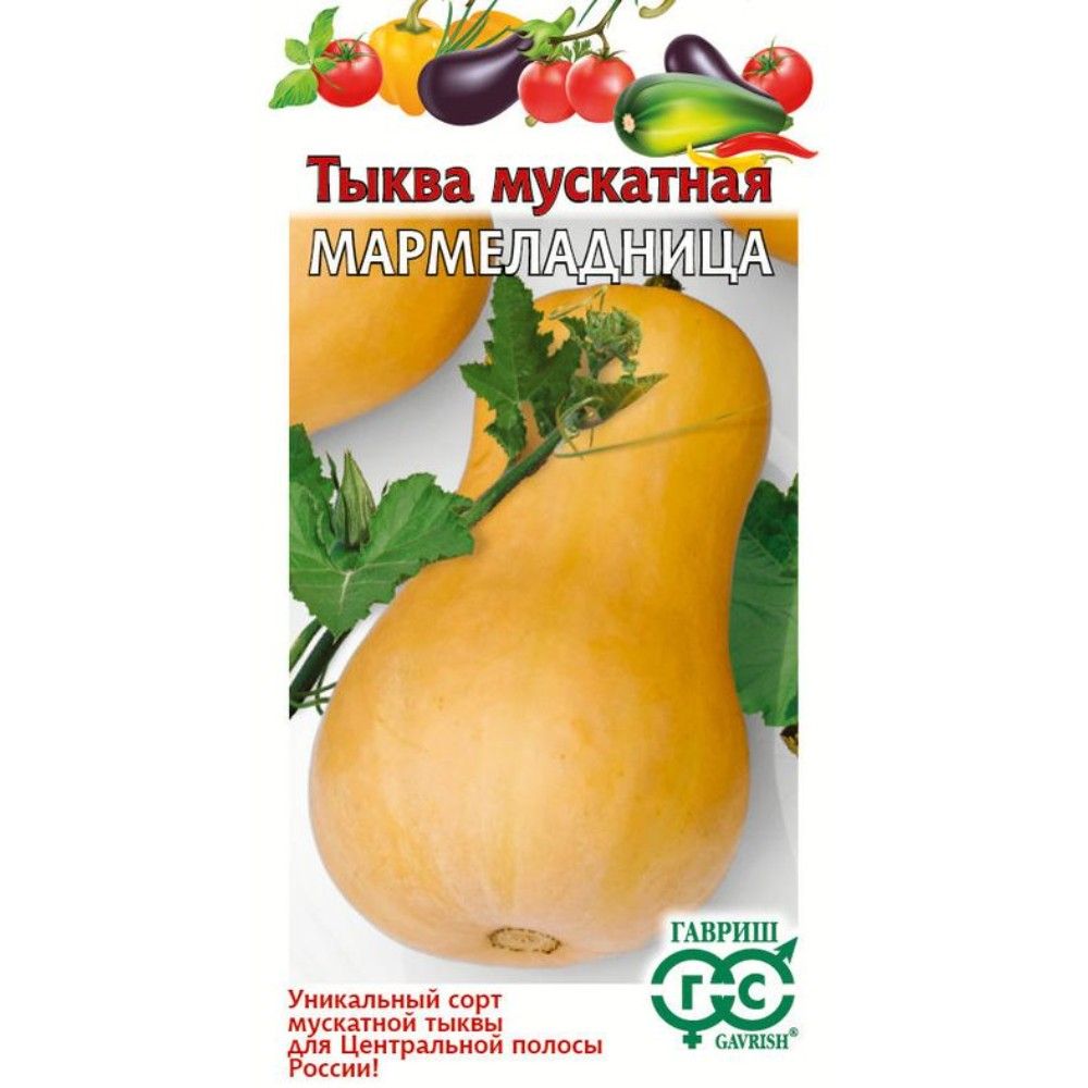 

тыква мармеладница семена, тыква мармеладница семена купить