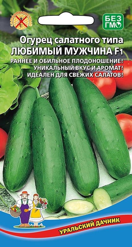 Семена Огурцы Уральский Дачник Купить