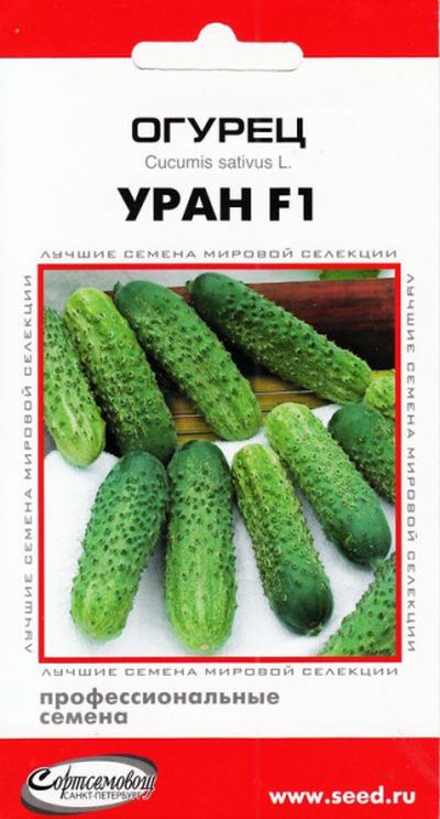Огурец Уран F1