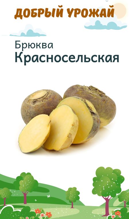 Брюква Красносельская