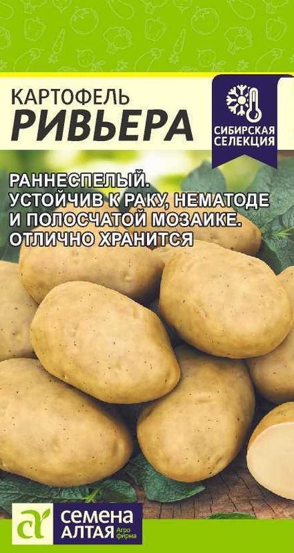 

картофель ривьера семена, картофель ривьера семена купить