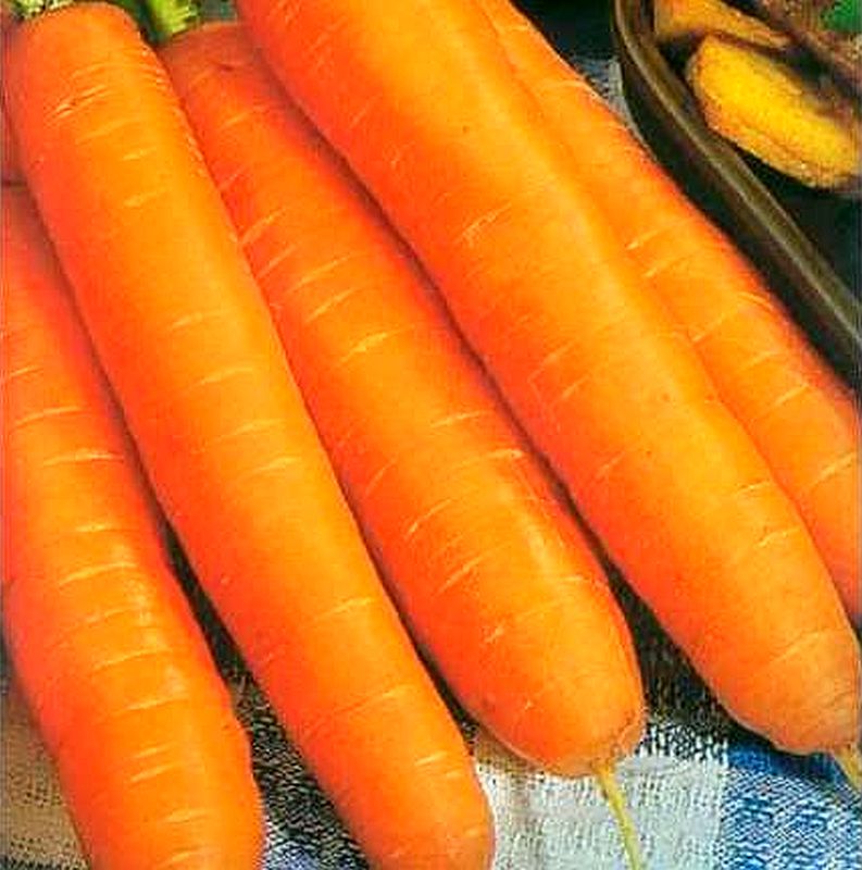 Купить Семена Моркови Хорошие