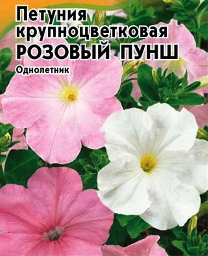 

петуния крупноцветковая розовый пунш семена, петуния крупноцветковая розовый пунш семена купить
