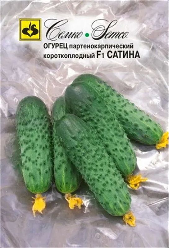 

огурец сатина f1 семена, огурец сатина f1 семена купить