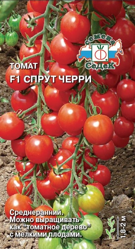 

томат спрут черри f1 семена, томат спрут черри f1 семена купить
