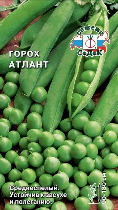 Купить семена гороха с доставкой по Москве и России. Доступные цены!