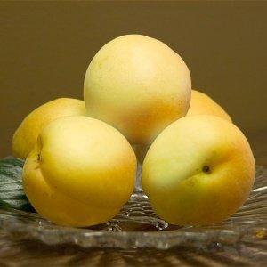 Абрикос Мунголд