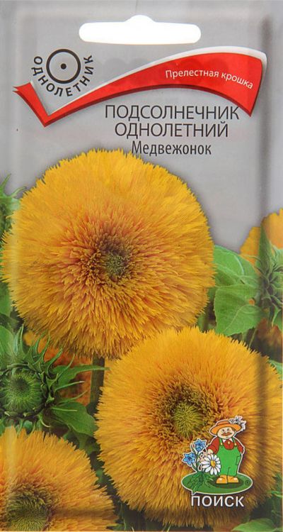 Подсолнечник Медвежонок