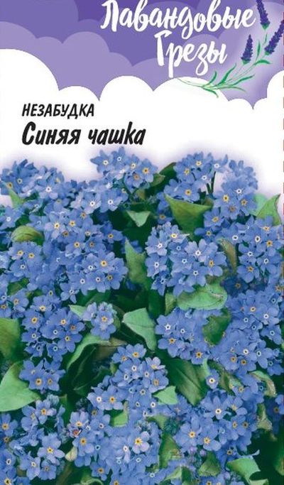 Незабудка Синяя чашка