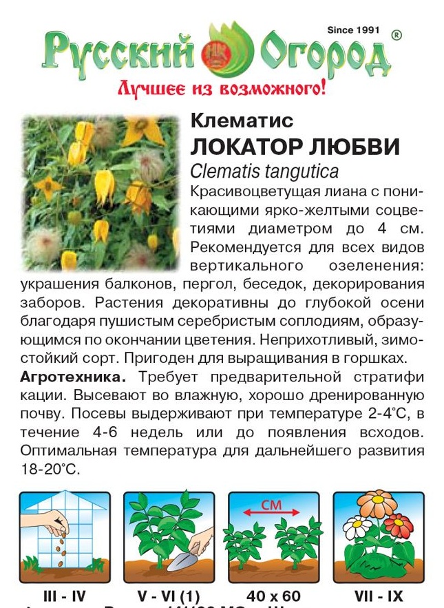 Клематис Тунгузский Festima.Ru - частные объявления