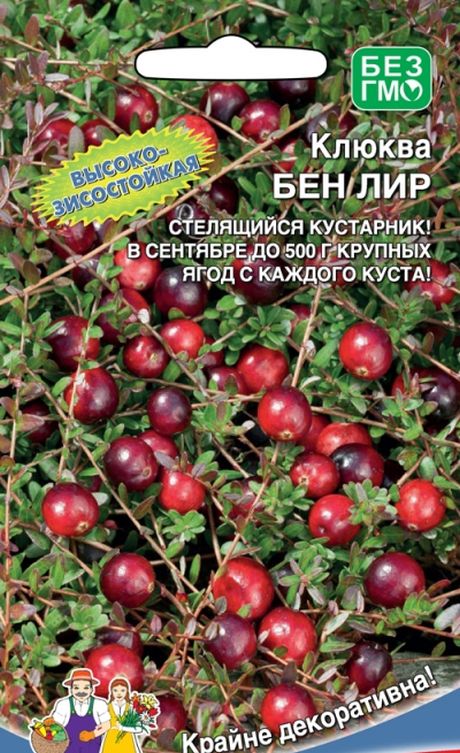 Клюква Бен Лир