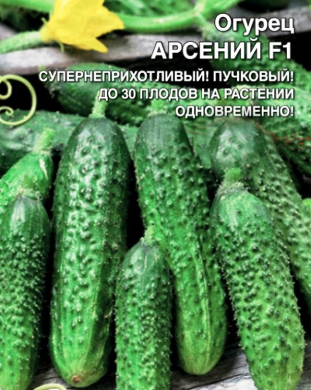 

огурец арсений f1 семена, огурец арсений f1 семена купить