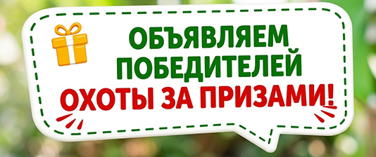 Поздравляем победителей!