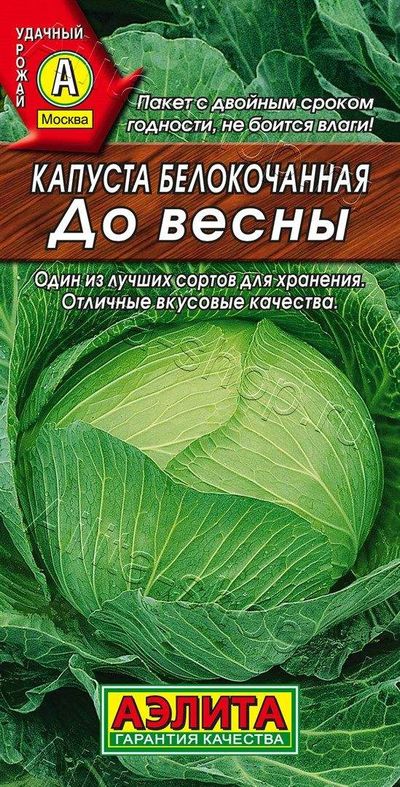 

капуста б/к до весны семена, капуста б/к до весны семена купить