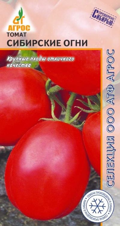

томат сибирские огни семена, томат сибирские огни семена купить