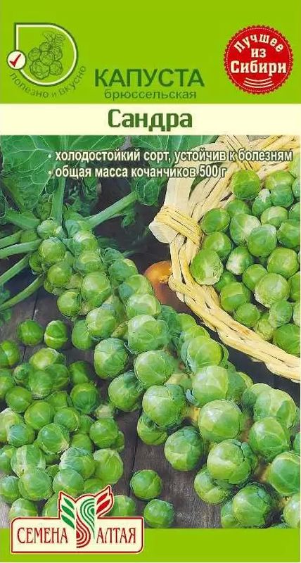 КапустабрюссельскаяСандра