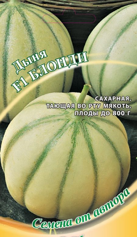 Дыня Блонди — все, что нужно знать об этом сорте - описание, характеристики, посадка и выращивание, отзывы Дыня Блонди: описание сорта, характеристики, посадка и выращивание, отзывы
