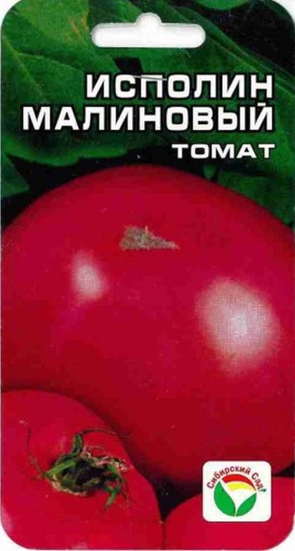Томат Исполин Малиновый