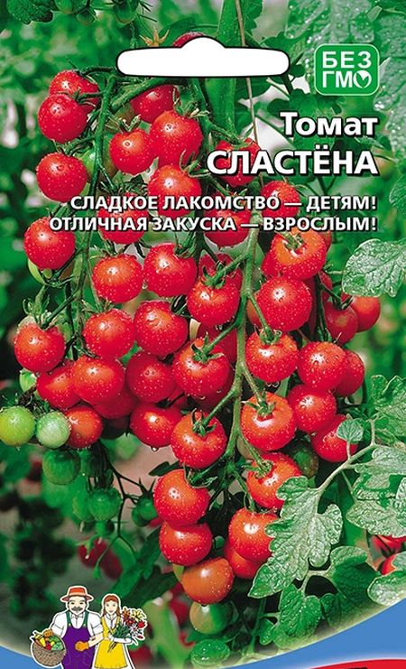 

томат сластена семена, томат сластена семена купить