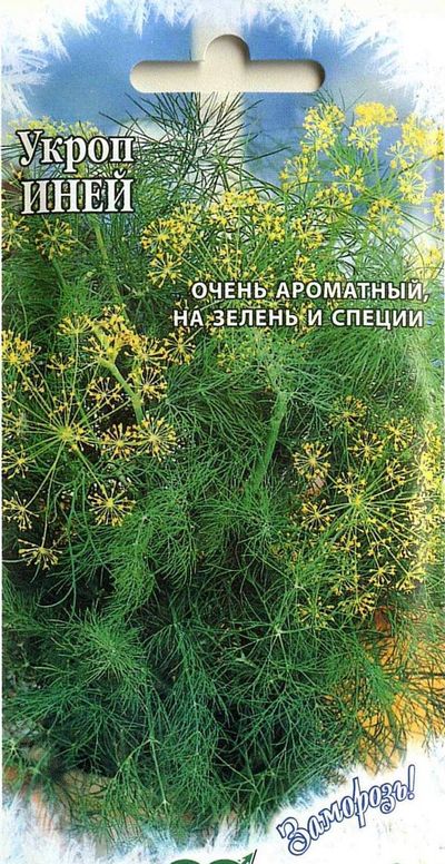 

укроп иней серия заморозь! семена, укроп иней серия заморозь! семена купить