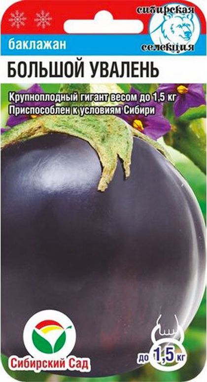Баклажан Большой увалень