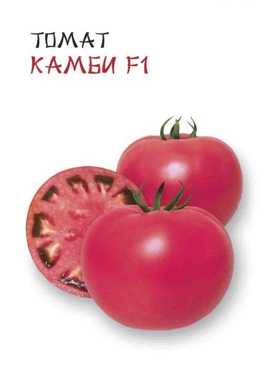 Томат Камби F1