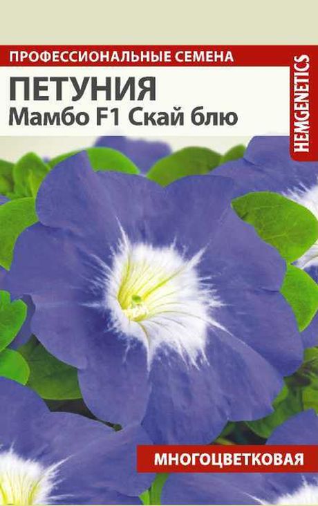 

петуния мамбо скай блю f1 семена, петуния мамбо скай блю f1 семена купить