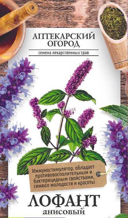 Лофант Анисовый