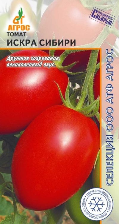 Томат Искра Сибири
