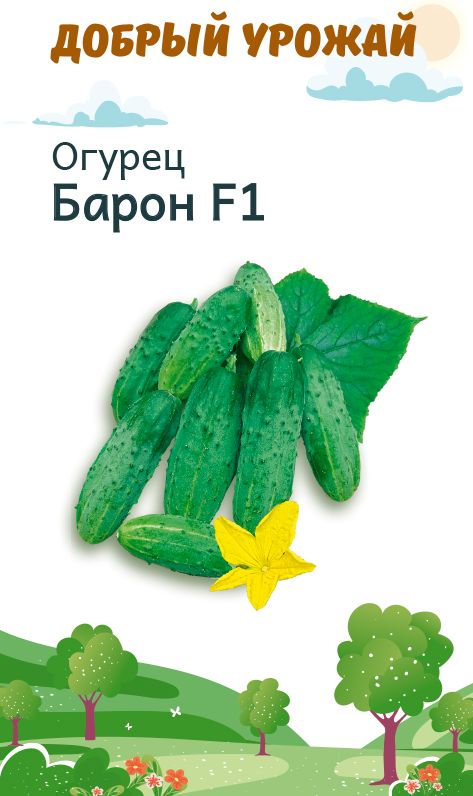 Огурец Барон