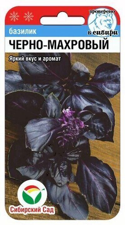 Базилик Черно-махровый