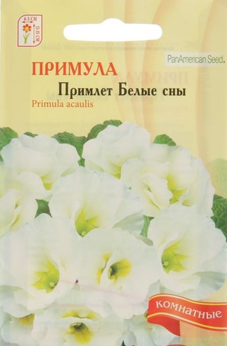 Примула Примлет белые сны
