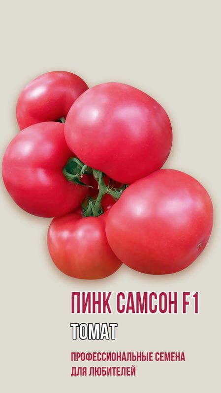 

томат пинк самсон f1 семена, томат пинк самсон f1 семена купить