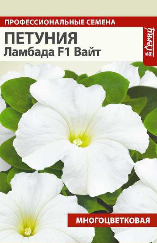

петуния ламбада вайт f1 семена, петуния ламбада вайт f1 семена купить