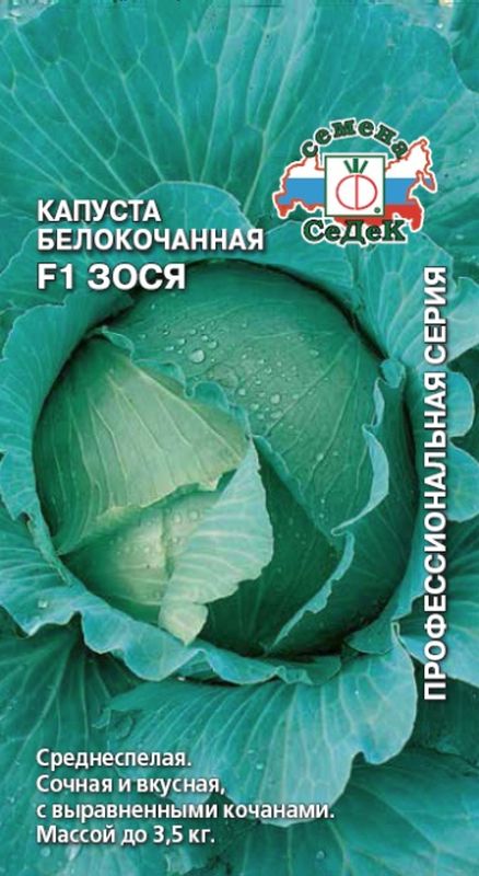 

капуста б/к f1 зося семена, капуста б/к f1 зося семена купить