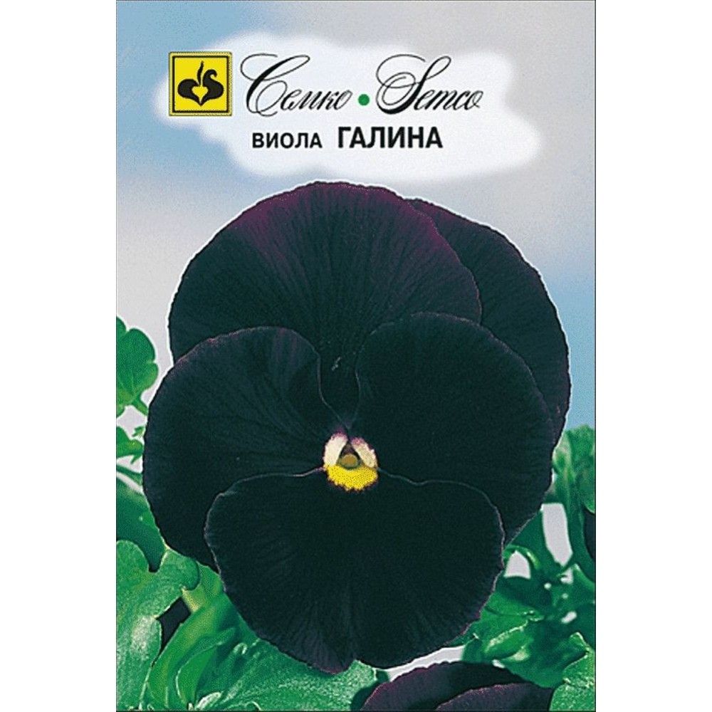 Семена Виолы Купить В Интернет Магазине