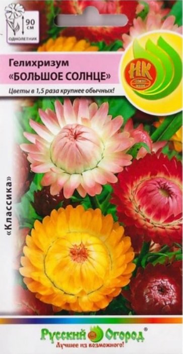 Гелихризум Большое солнце, смесь