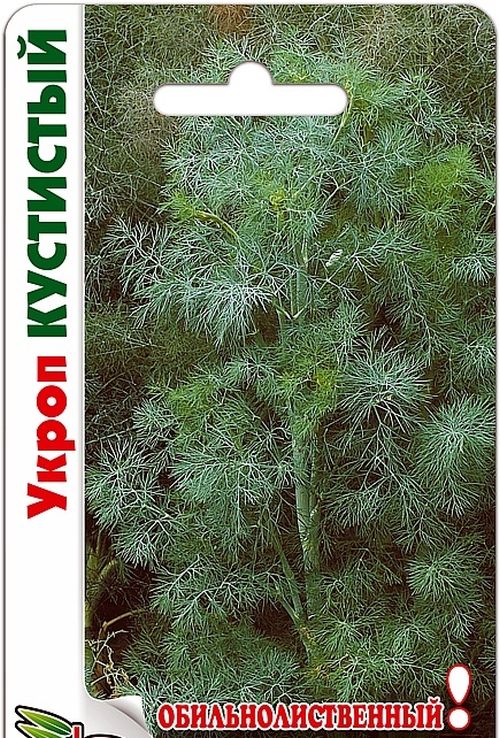 Укроп Кустистый